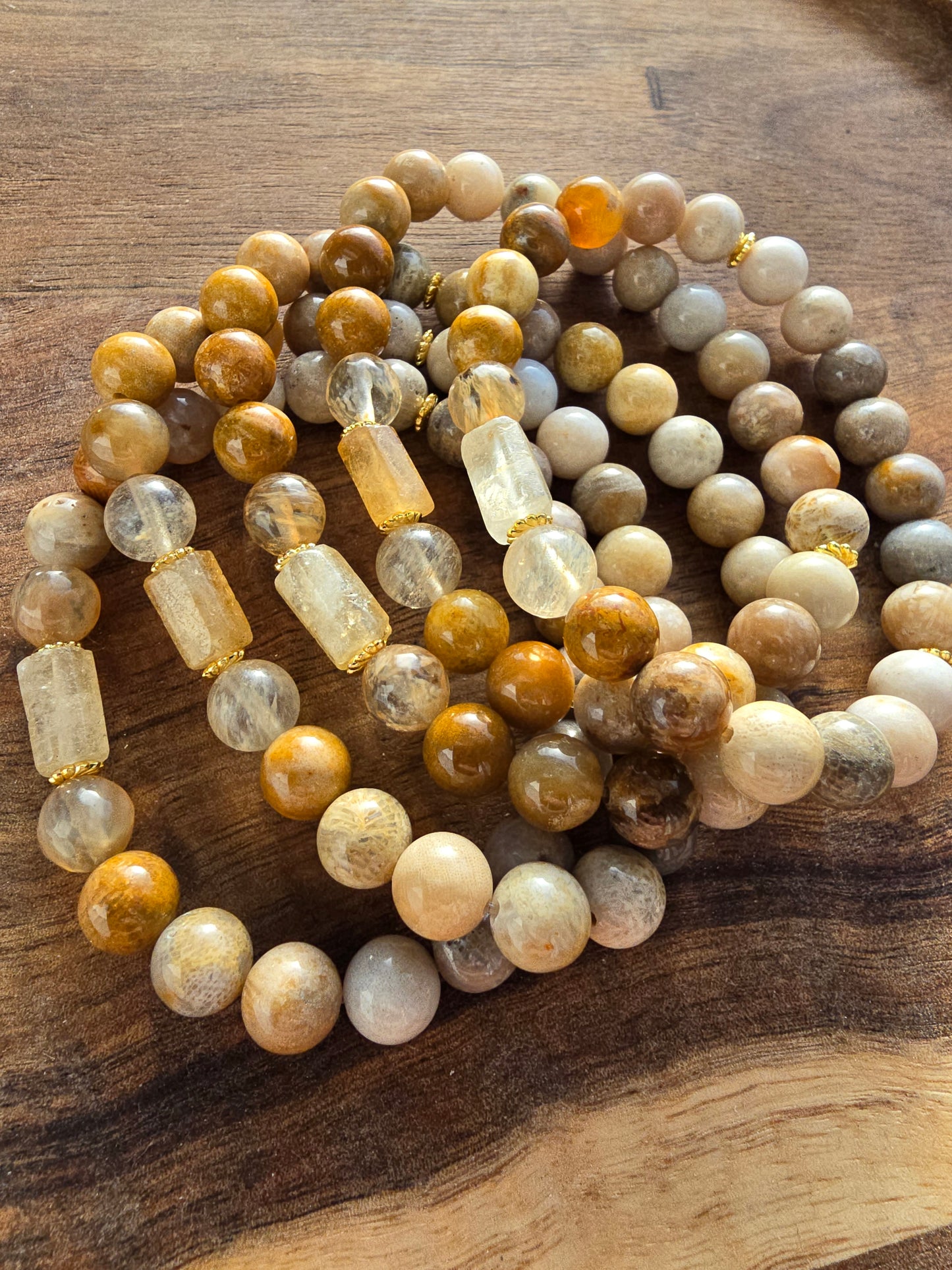 Nautilus and Sodalite Bracelet My Store