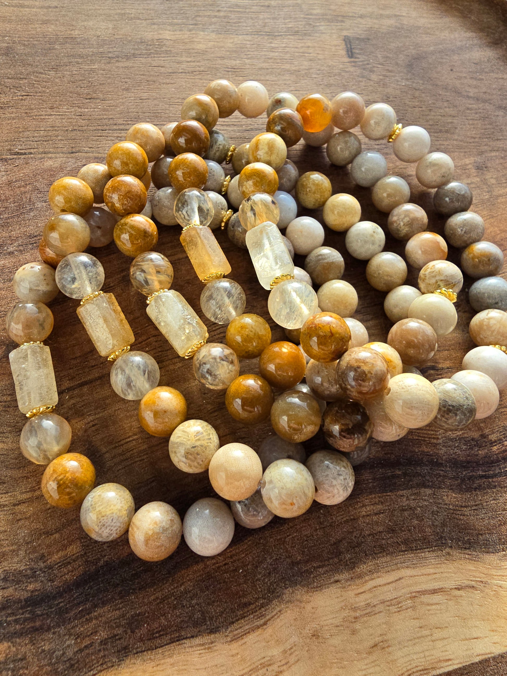 Nautilus and Sodalite Bracelet My Store