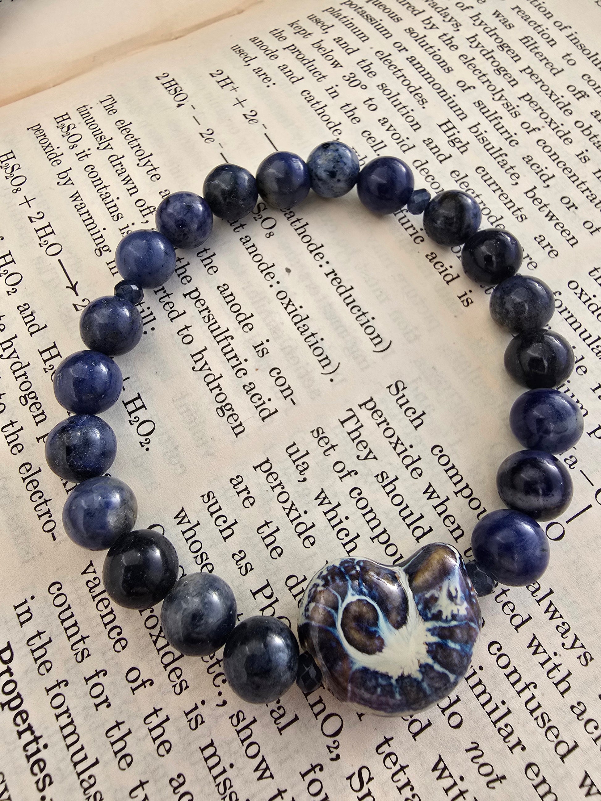 Nautilus and Sodalite Bracelet My Store