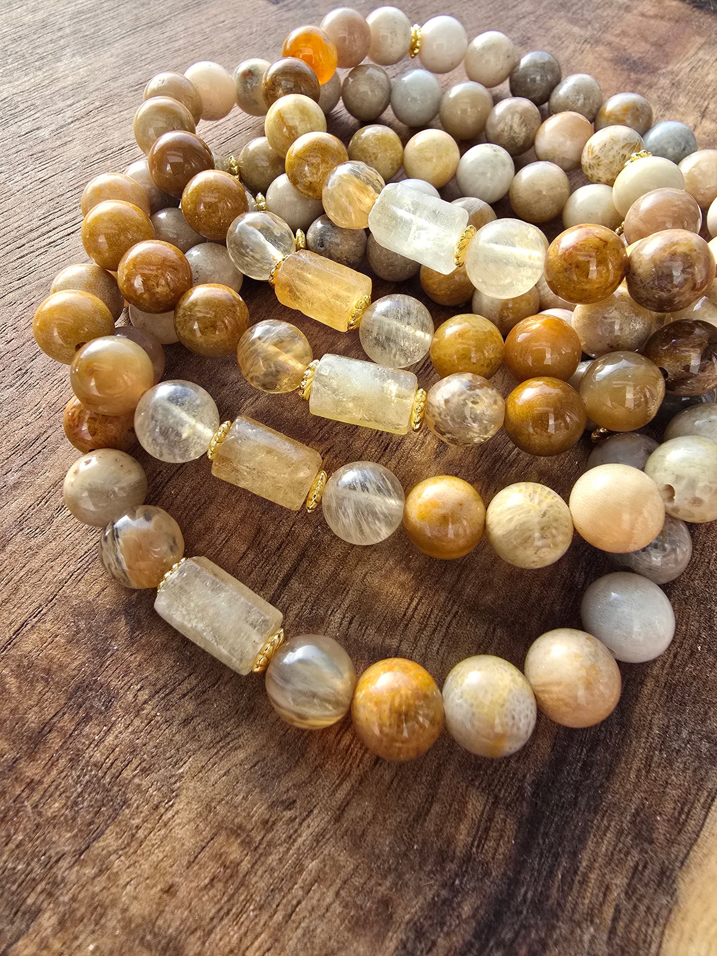 Nautilus and Sodalite Bracelet My Store