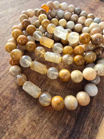 Nautilus and Sodalite Bracelet My Store