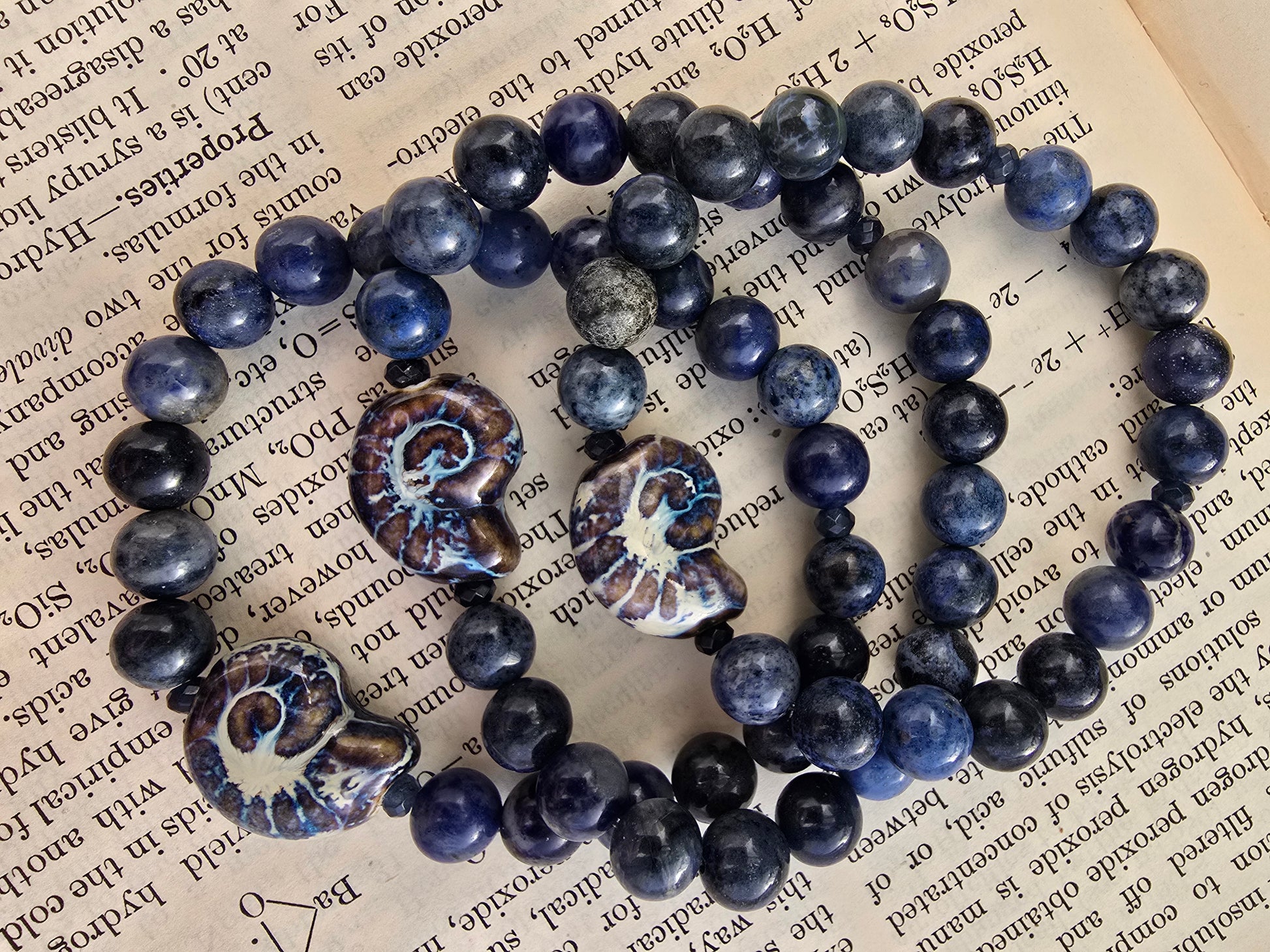 Nautilus and Sodalite Bracelet My Store
