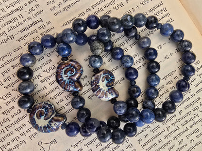 Nautilus and Sodalite Bracelet My Store