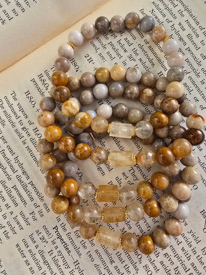 Nautilus and Sodalite Bracelet My Store