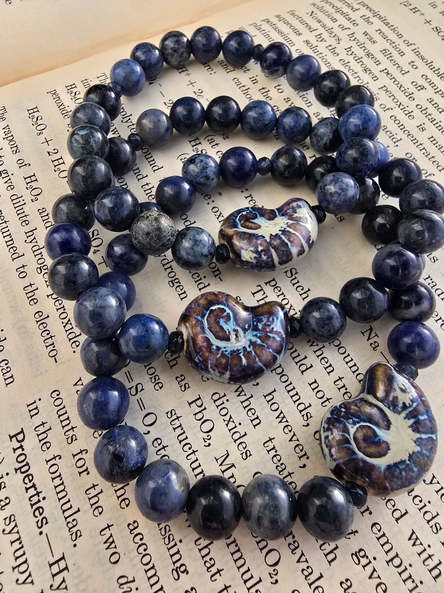 Nautilus and Sodalite Bracelet My Store