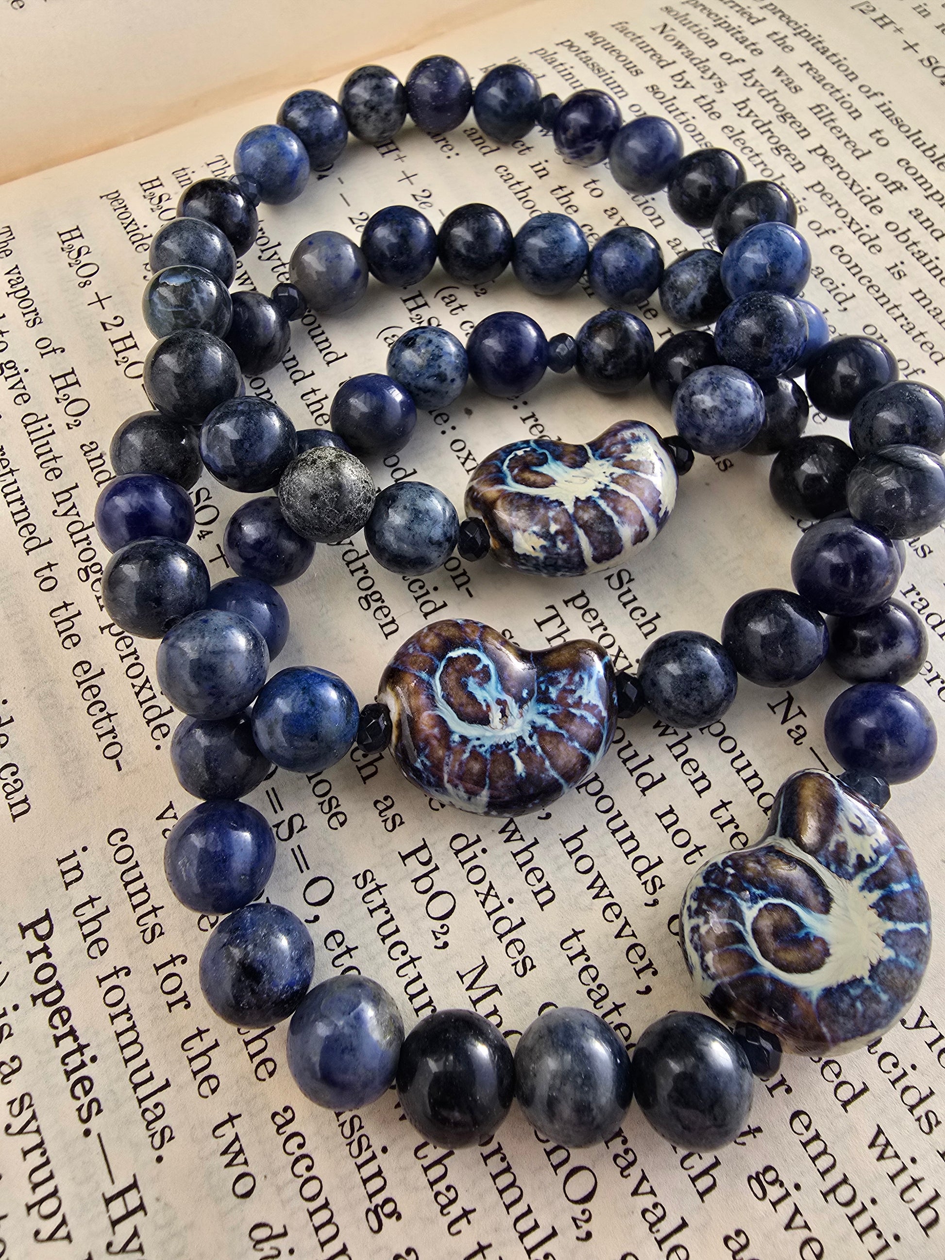 Nautilus and Sodalite Bracelet My Store