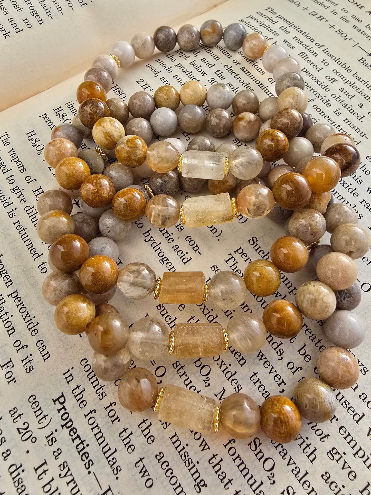 Nautilus and Sodalite Bracelet My Store