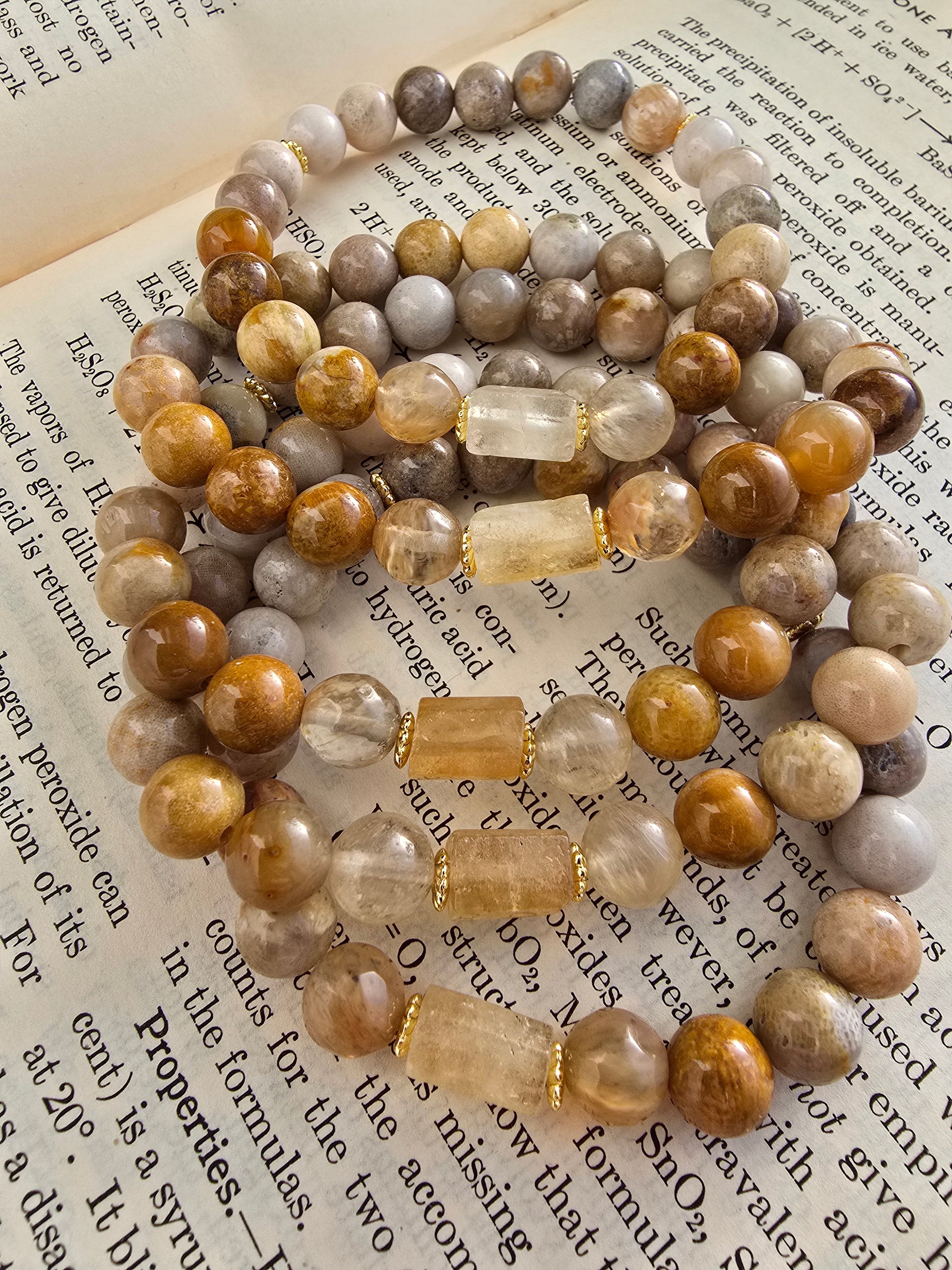 Nautilus and Sodalite Bracelet My Store